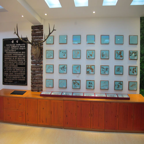 ������ɭ��վ��Ϣ���걾��