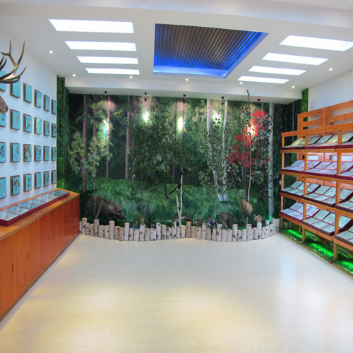 ������ɭ��վ��Ϣ���걾��